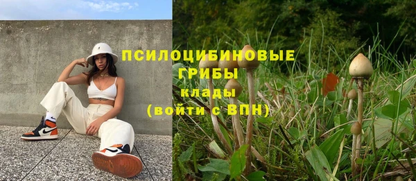 амф Дмитровск