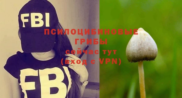 MESCALINE Заволжье