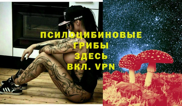 а пвп мука Заводоуковск
