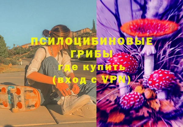 стафф Елабуга