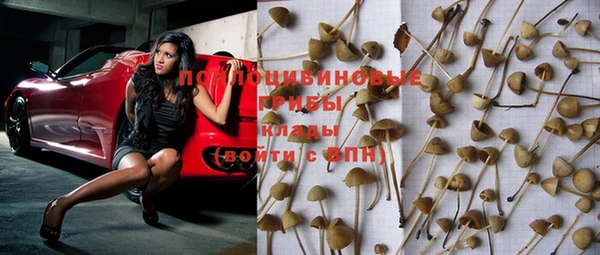 каннабис Ельня