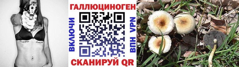Галлюциногенные грибы мухоморы  Камышин 